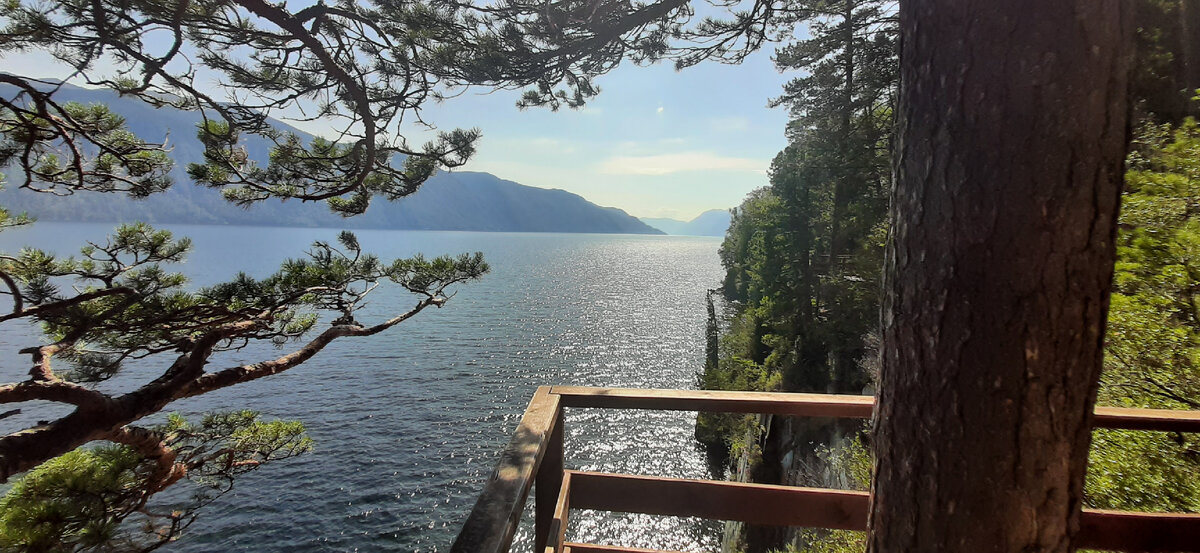 гостевой дом телецкое озеро артыбаш. артыбаш телецкое озеро домики. артыбаш и иогач. село артыбаш республика алтай. усадьба кедровая иогач.