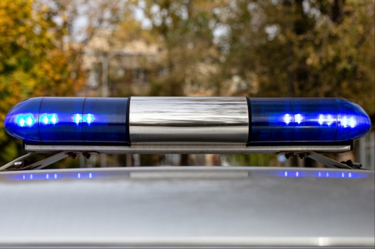    Дончанин убил свою 82-летнюю мать и рассказал об этом соседям