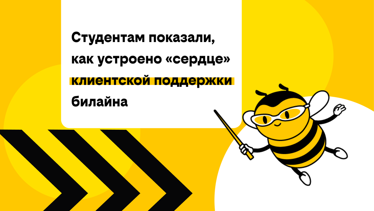 Студентам показали, как устроено «сердце» клиентской поддержки билайна |  билайн | Дзен