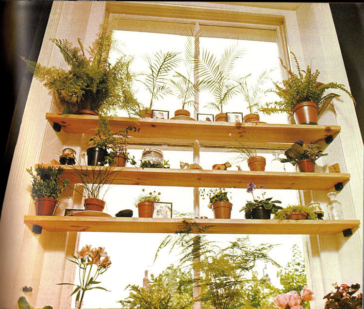    Стеллаж для рассады на окно своими рукамиСоцсети