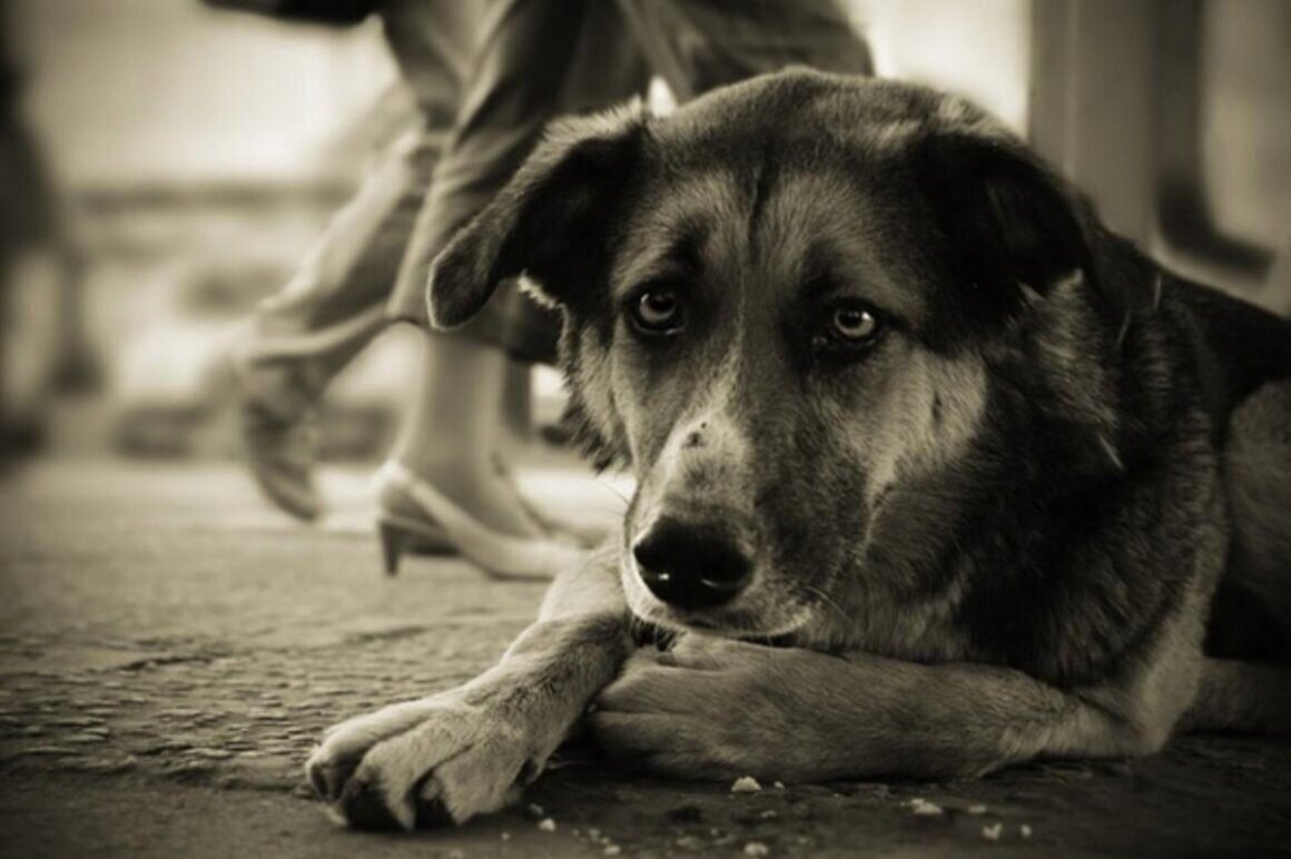  Из доступного источника