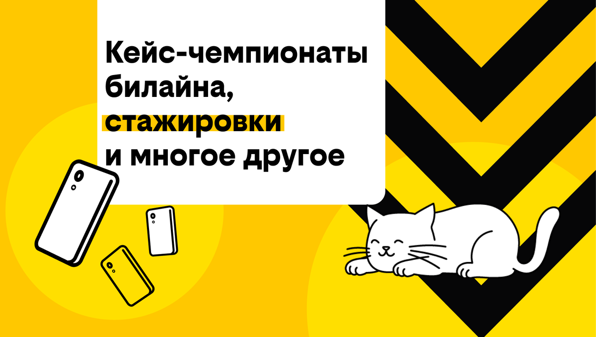 Студенты в бизнесе: кейс-чемпионаты билайна, стажировки и многое другое |  билайн | Дзен