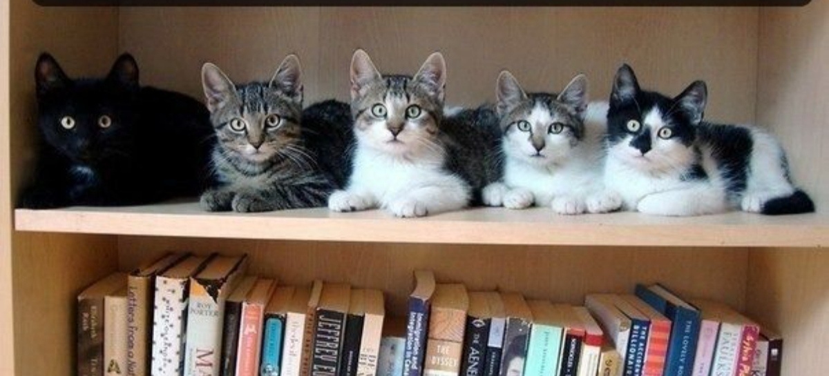 Фото из Pinterest 