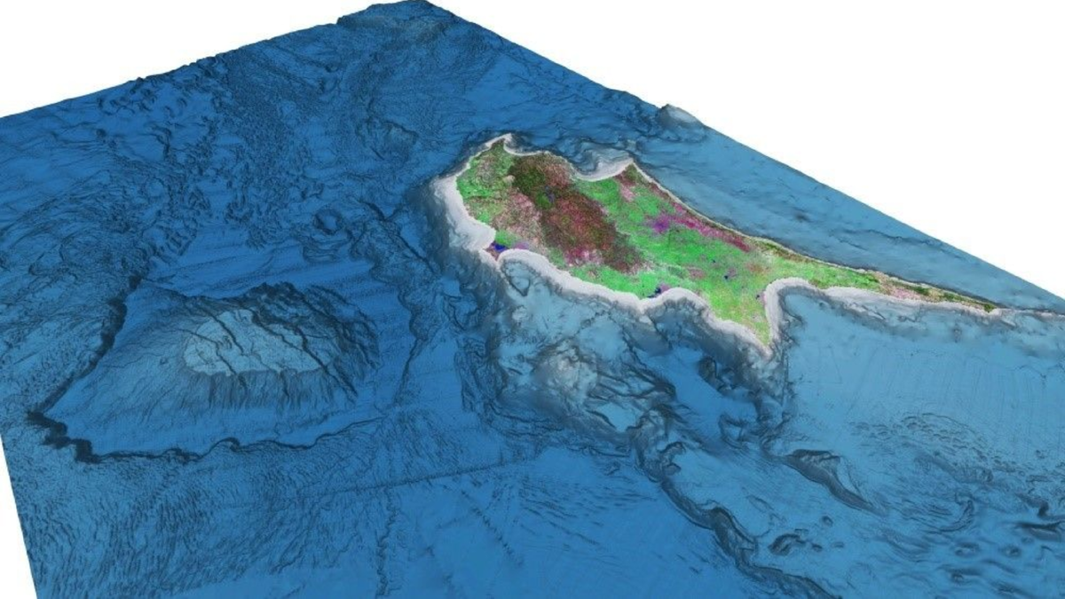 Морские рельефы. Рельеф дна Средиземного моря. Рельеф дна черного моря. Карта дна Средиземного моря с рельефом.