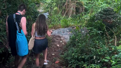 джунгли настоящие. в поисках джунгли. джунгли 2017 маркус. в поисках джунгли. в поисках джунгли.