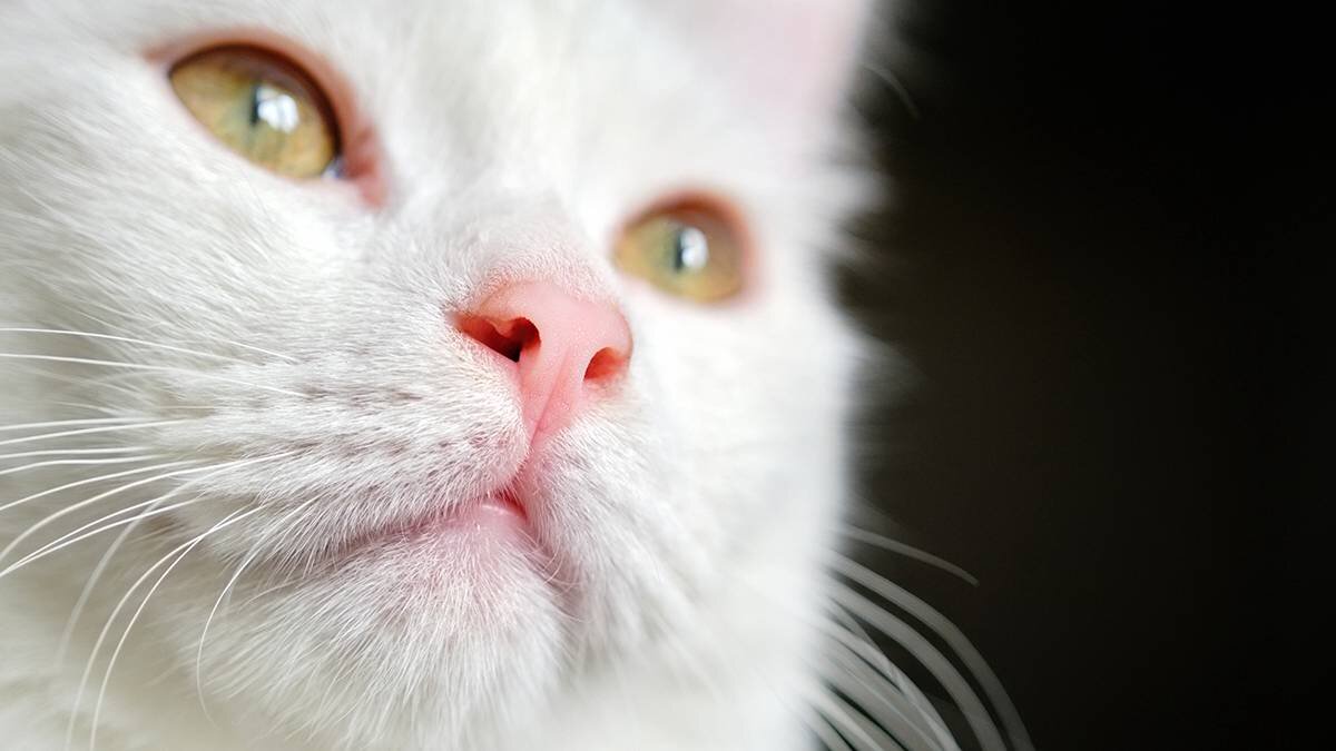    Фото: shutterstock