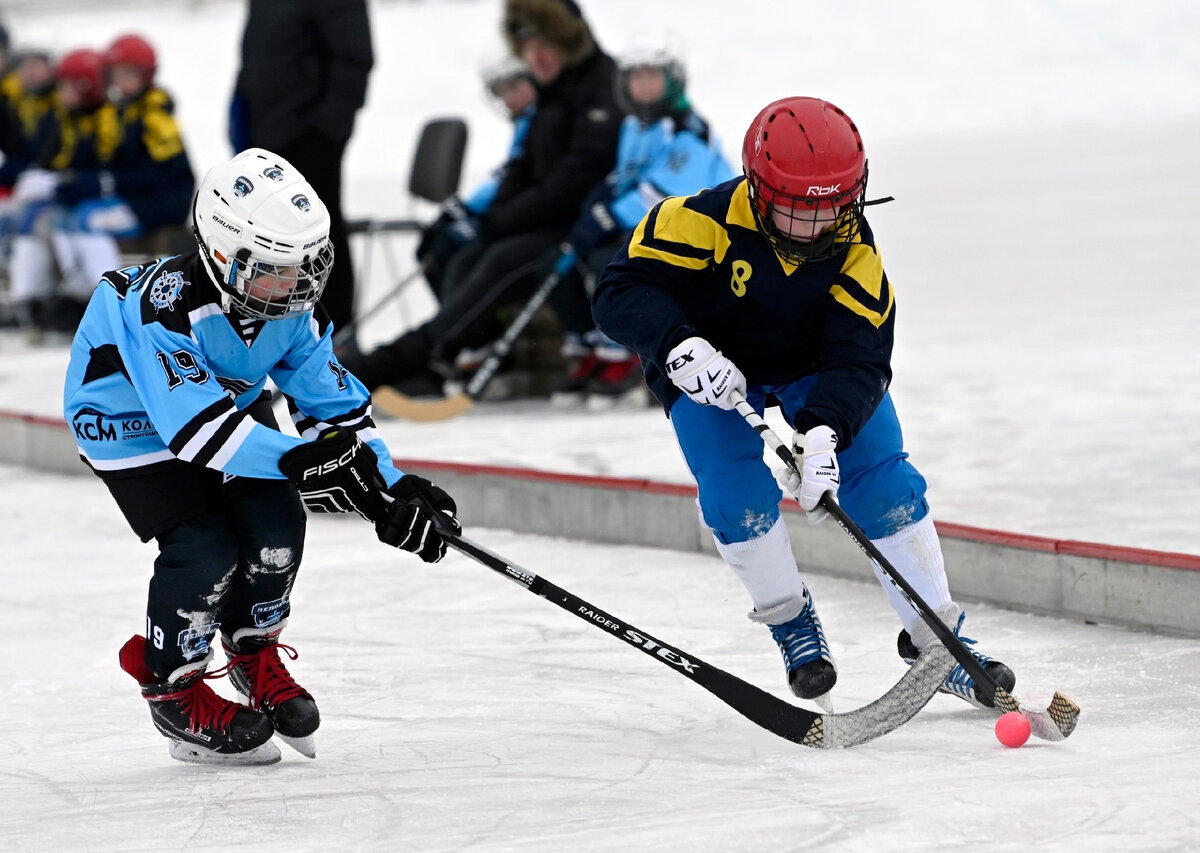 Фото: gov-murman.ru