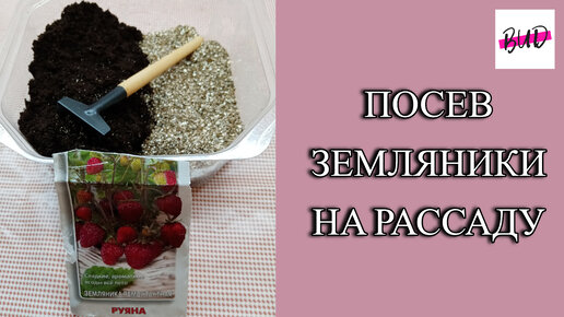 ПОСЕВ ЗЕМЛЯНИКИ СЕМЕНАМИ НА РАССАДУ В ДОМАШНИХ УСЛОВИЯХ.