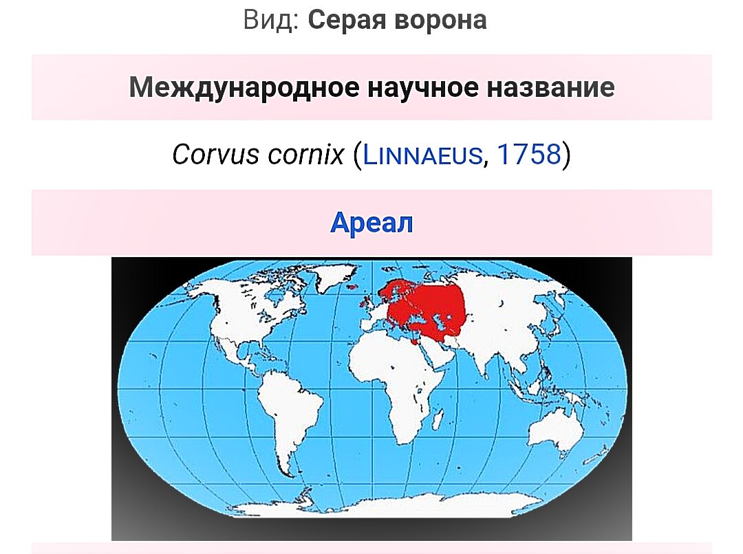 Распространение серой вороны. Взято из Википедии. ФОТО И ИЗОБРАЖЕНИЯ ВЗЯТЫ ИЗ ОТКРЫТЫХ ИСТОЧНИКОВ И ПРИНАДЛЕЖАТ ИХ АВТОРАМ,