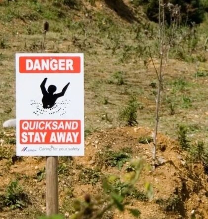 Фото взято из открытых источеиков