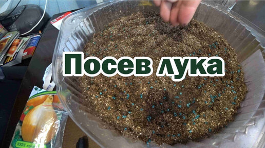 Посев лука