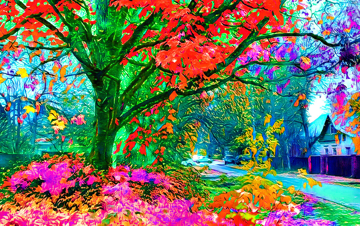 1.  Разноцветье осени...  /Звенигород/