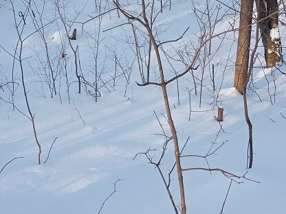 Фотография из личного архива автора