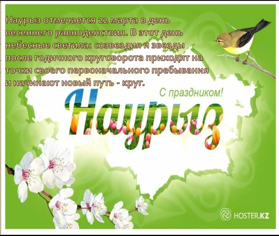Яндекс. Поиск