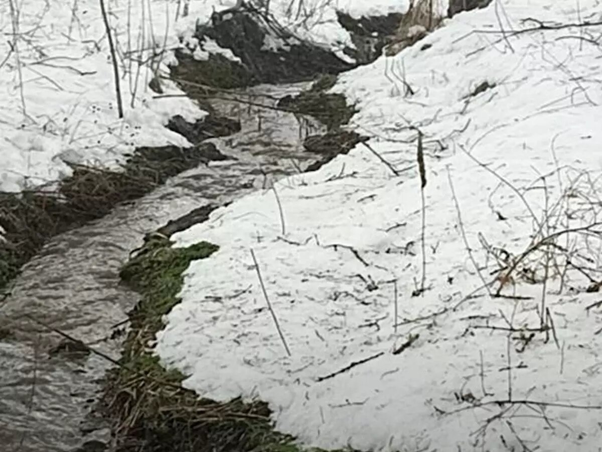 департамент природных ресурсов костромской. департамент природных ресурсов костромской. департамент природных ресурсов костромской. новый порядок предоставления водного объекта в пользование. департамента природных ресурсов и охраны окружающей среды области.