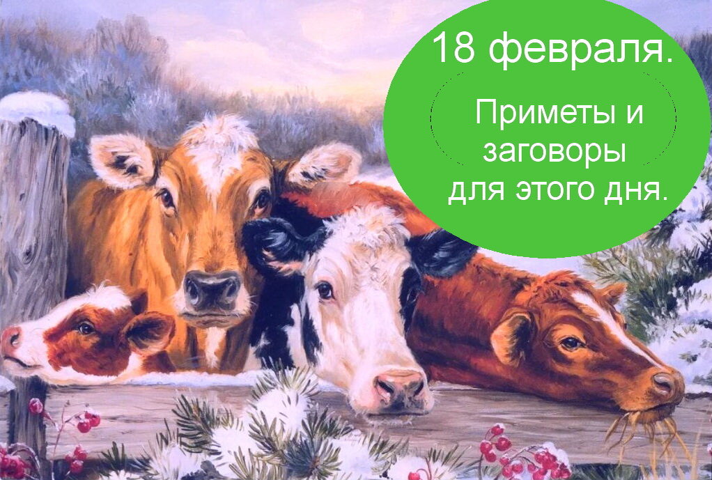 Источник : Яндекс   картинки. 