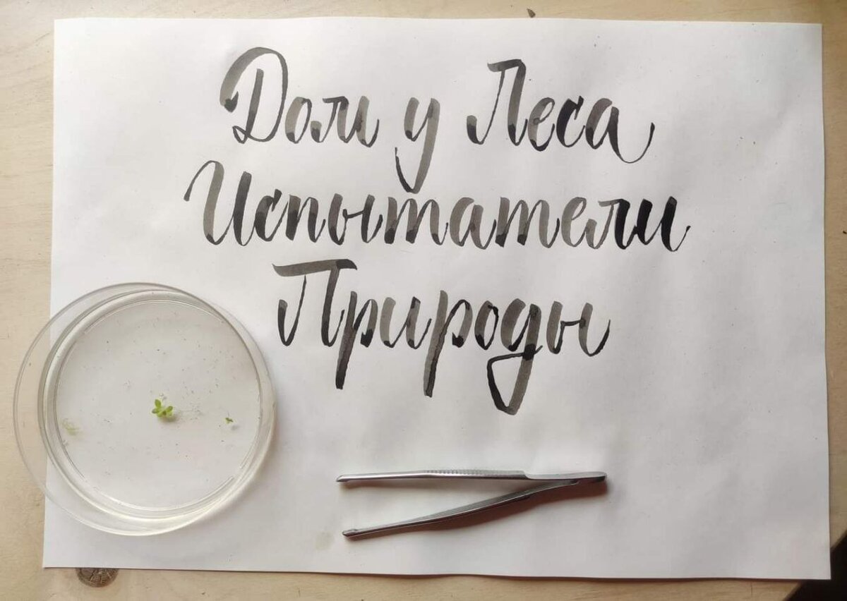 Из личного архива Николая Ковылова