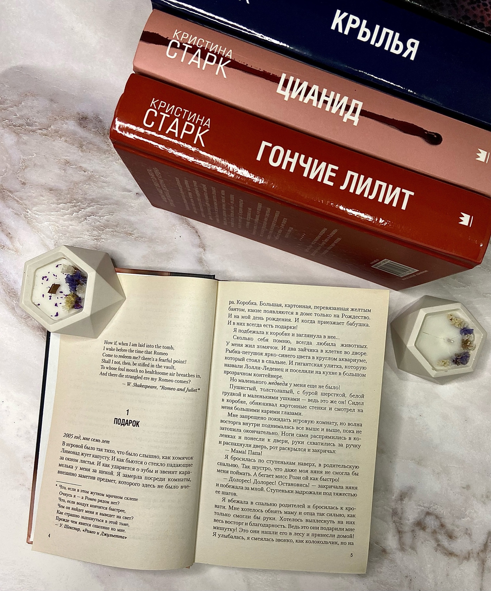 Книга Кристины Старк "Стигмалион"
