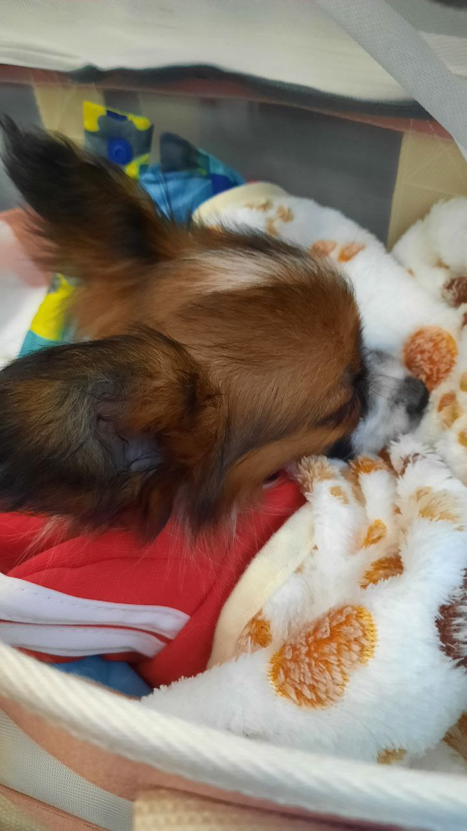 Укутана всем, чем можно