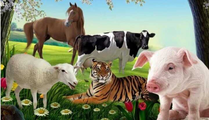 Вопросы к тесту. Составить 5 тестовых вопросов. Составить 5 тестовых вопросов. Составление теста. Тесты.