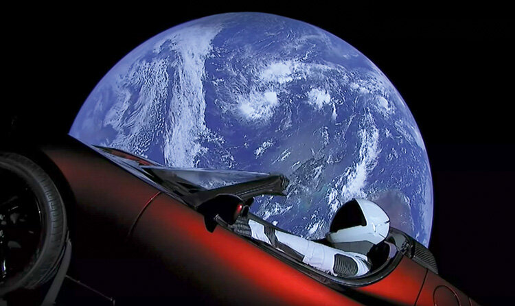 Earth journal. Earth journal. Книга меловой период динозавры и другие доисторические животные. Earth journal. Хуан карлос алонсо юрский период.