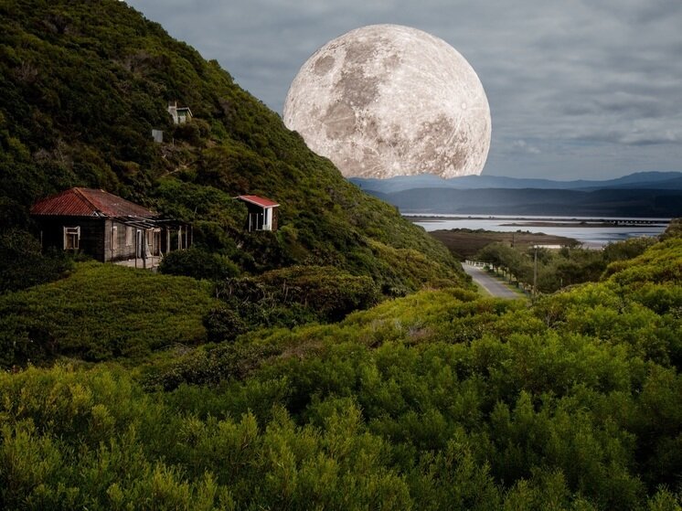     ФОТО: Pxhere.com