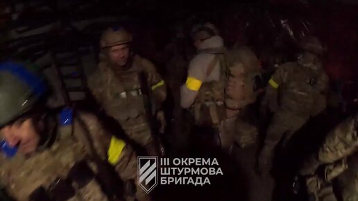 Крысиные путешествие. Крыса на работе. Смешные ролики про домашних крыс. Крыса. Дикие грызуны уссурийска.