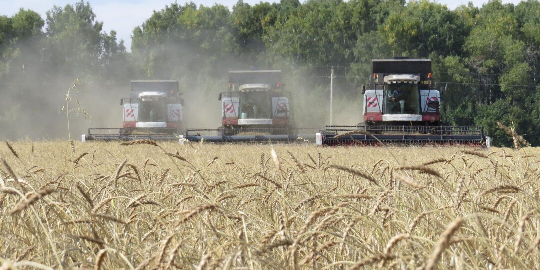 Профессия - хлебороб