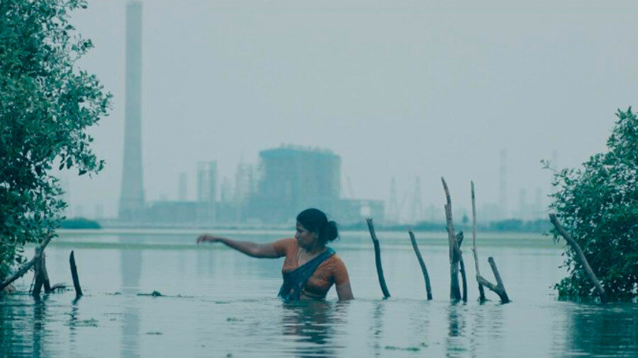 Кадр из фильма «Вирундху / Пир» / официальный сайт Clermont-Ferrand International Short Film Festival-2024: https://clermont-filmfest.org/