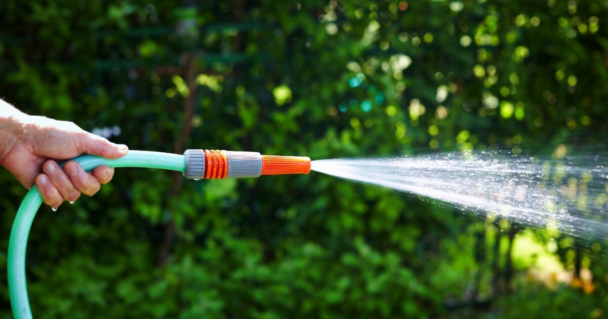 Фото из интернета.