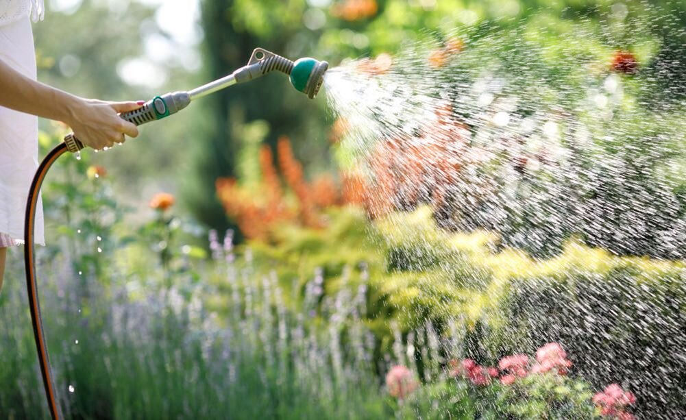 Фото из интернета.