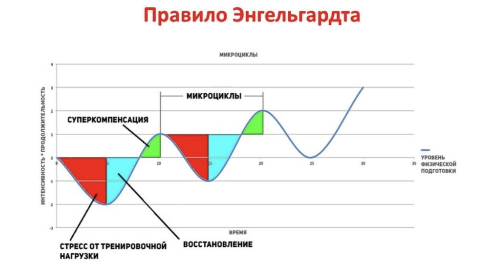 Правило Энгельгардта