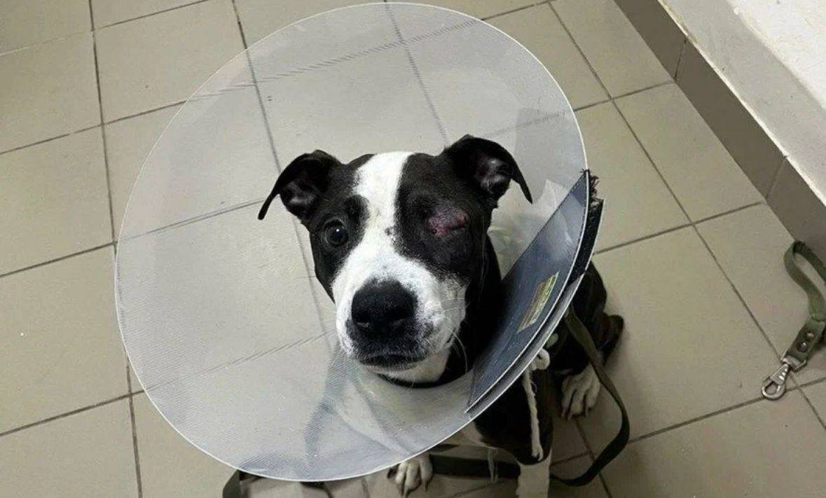 Официальный канал Московской межрегиональной транспортной прокуратуры