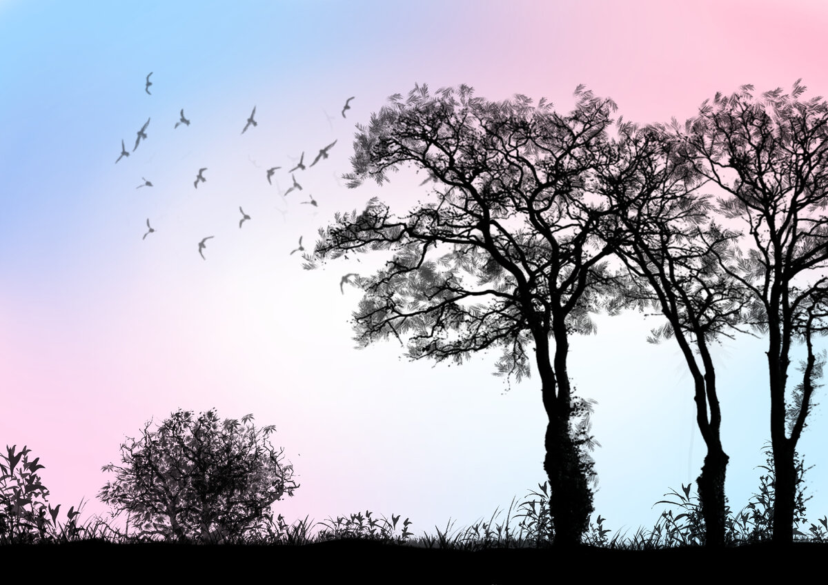 Незамысловатый силуэтный пейзаж