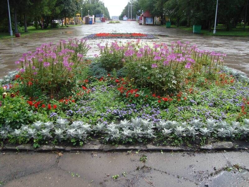 проспект химиков 5. пр химиков 1. проспект химиков 1 энгельс. г. химиков 1б энгельс.