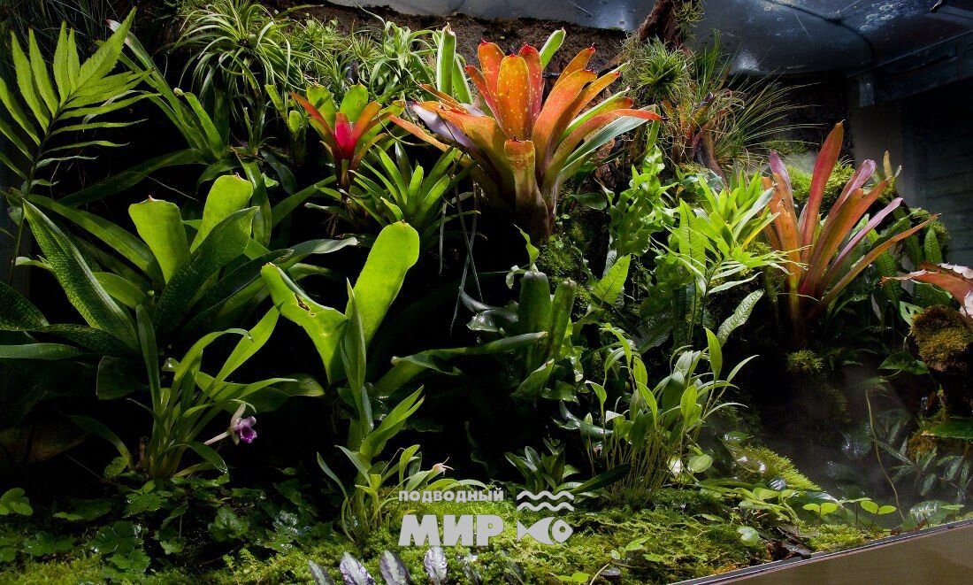 Фото из свободных источников