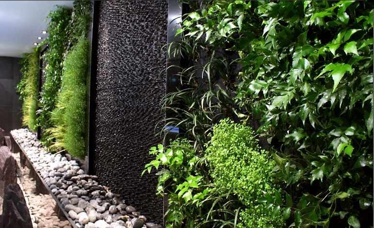 Фото из свободных источников