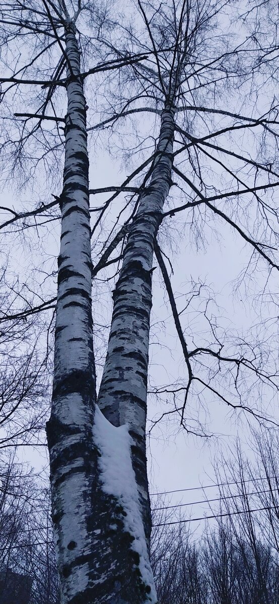 Личное фото