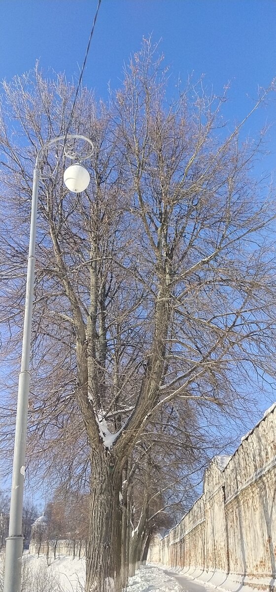 Личное фото