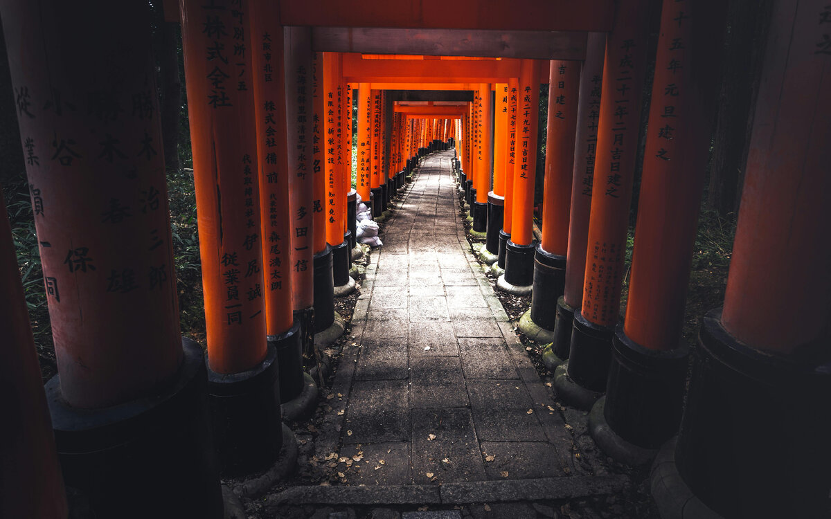 Фотограф: Marek Piwnicki