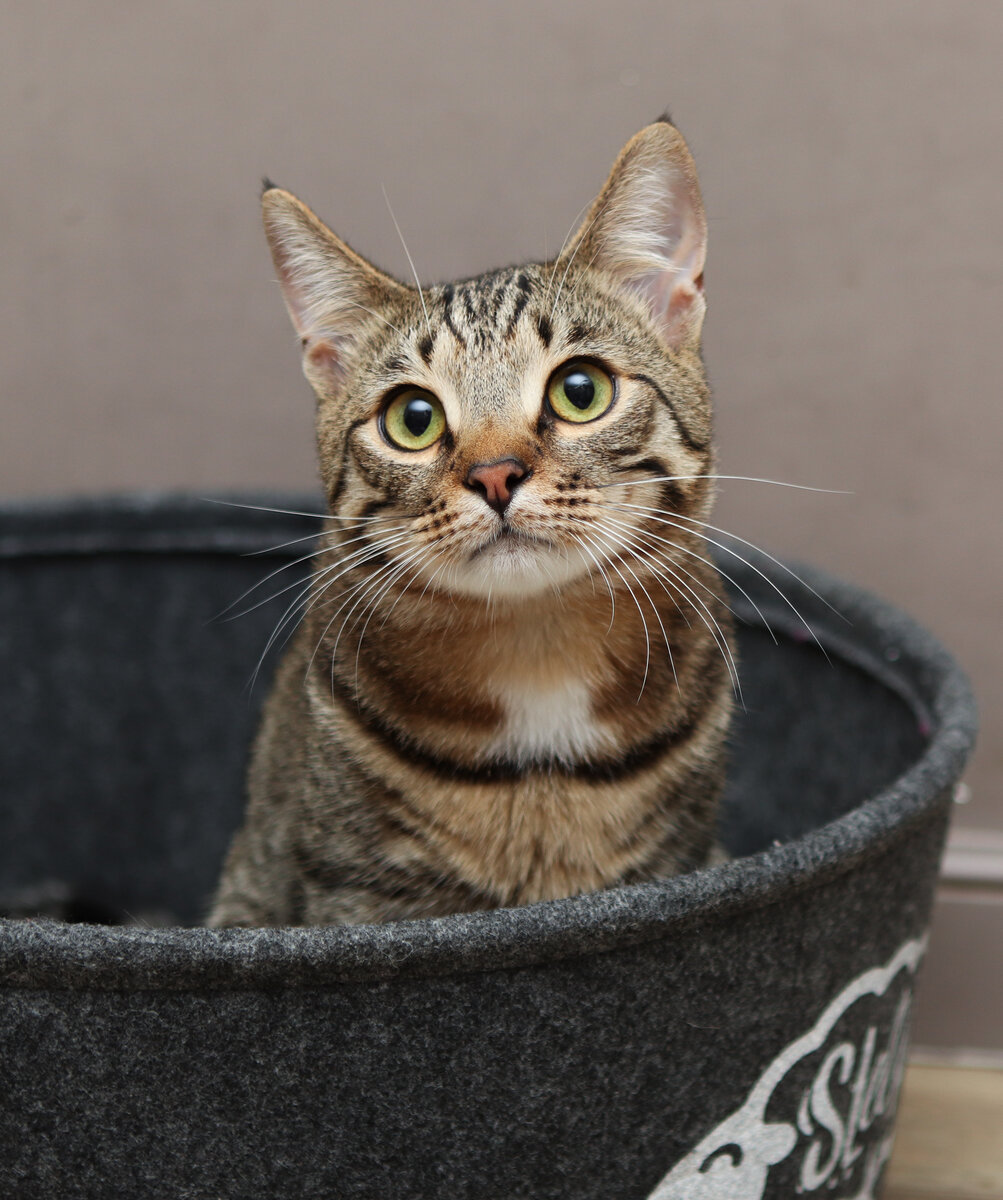 Смотри как я позирую!