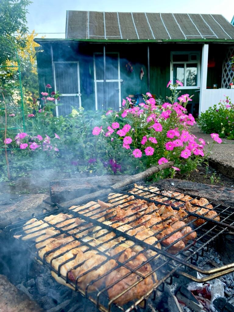 Шашлыки в любимом саду