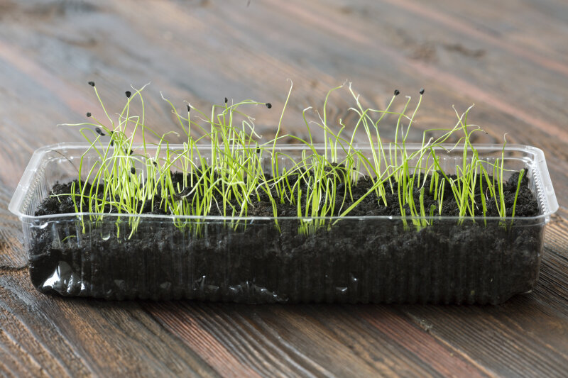 фото: Nikolay Gyngazov/Global Look Press