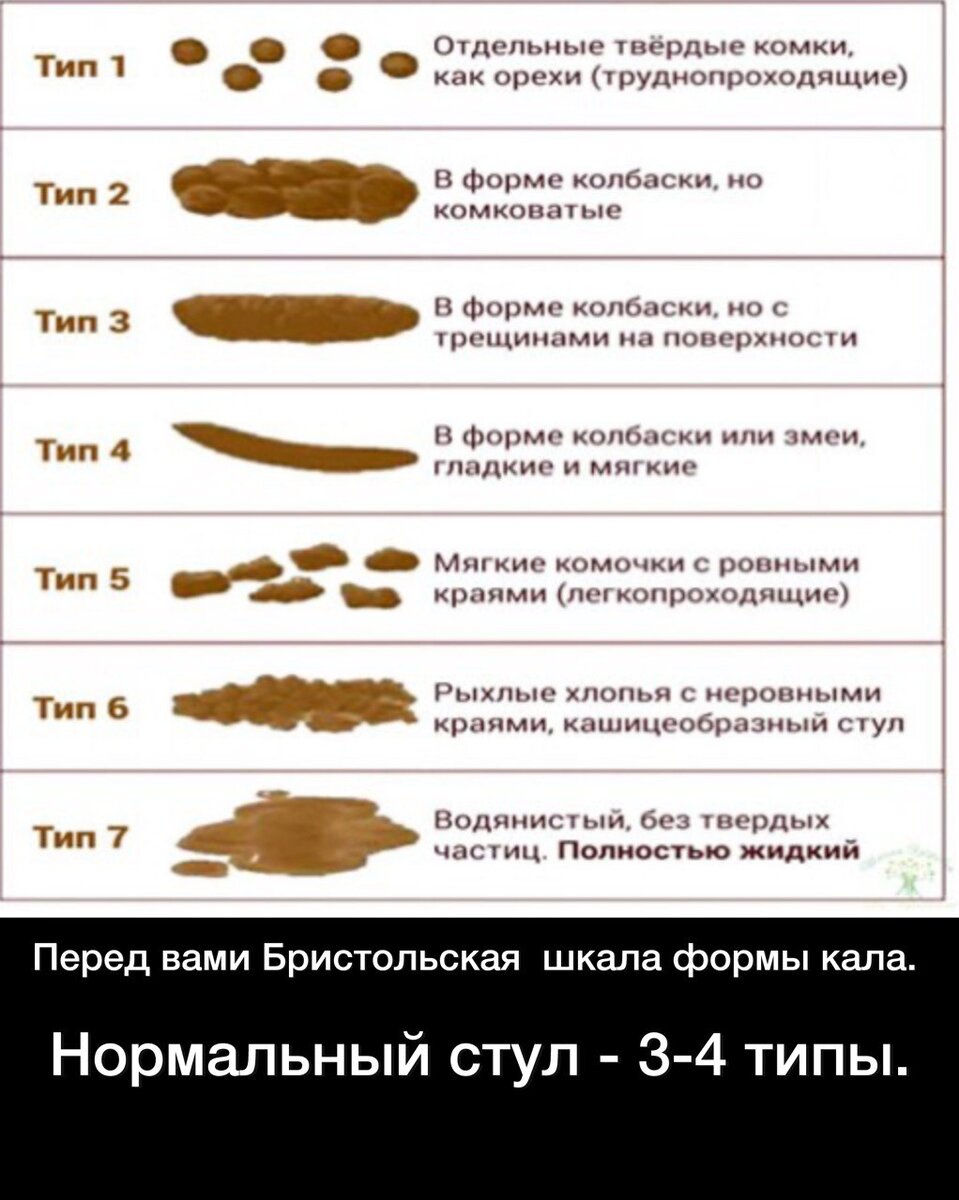 Кал черного цвета. - 66 ответов - Беременность - Форум Дети витамин-п-байкальский.рф