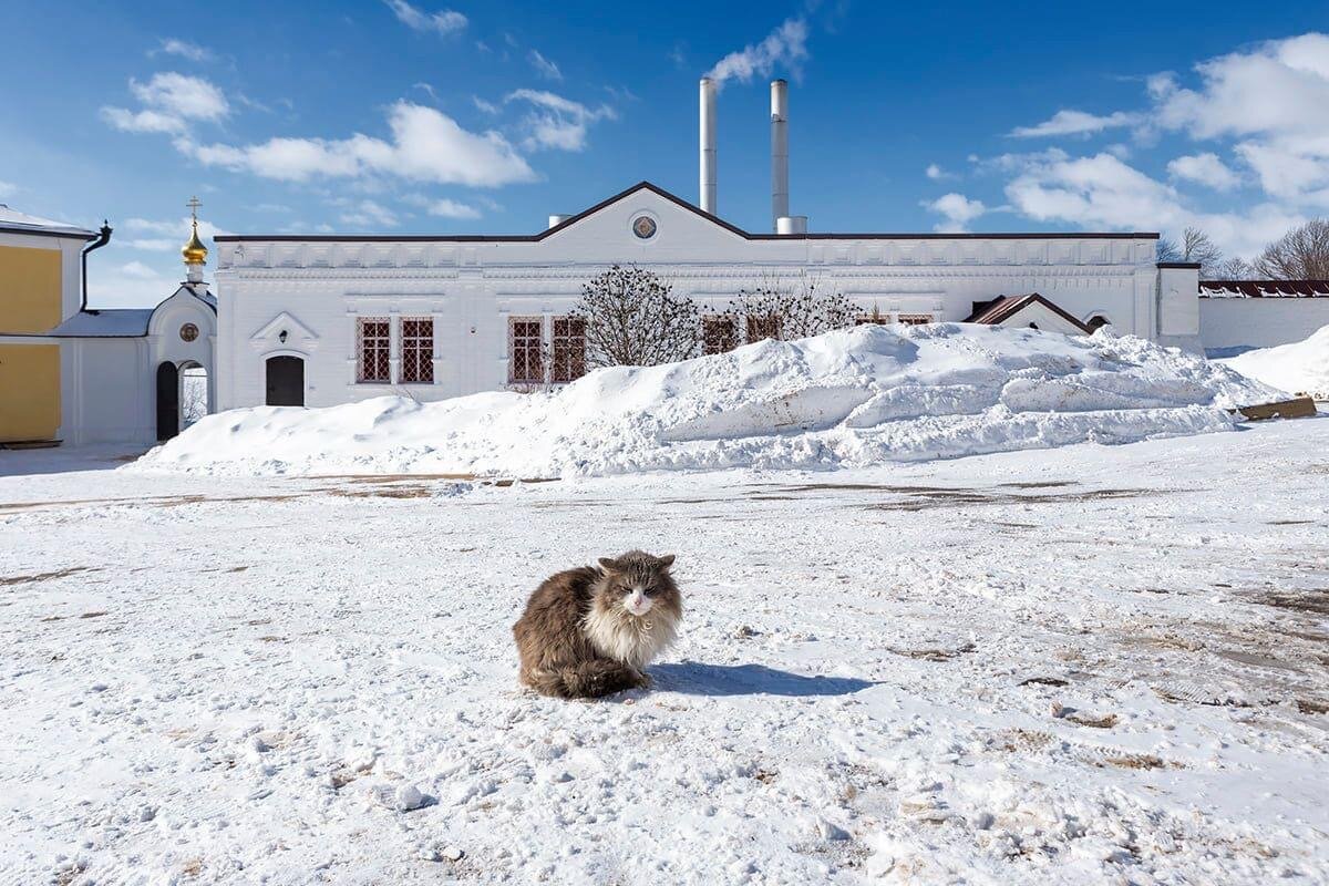 Двор монастыря