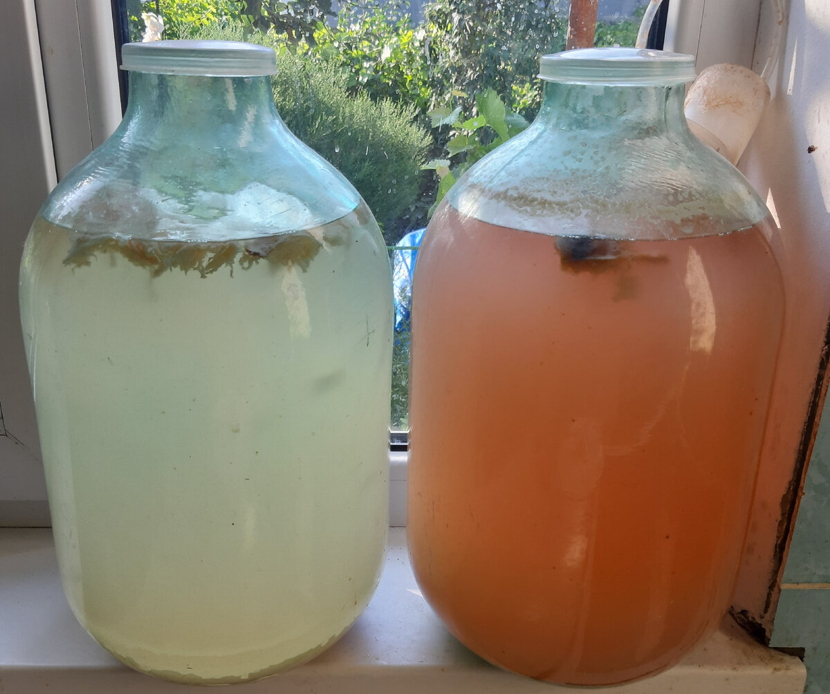 Даже летом добавляю в брагу фрукты для улучшения брожения.