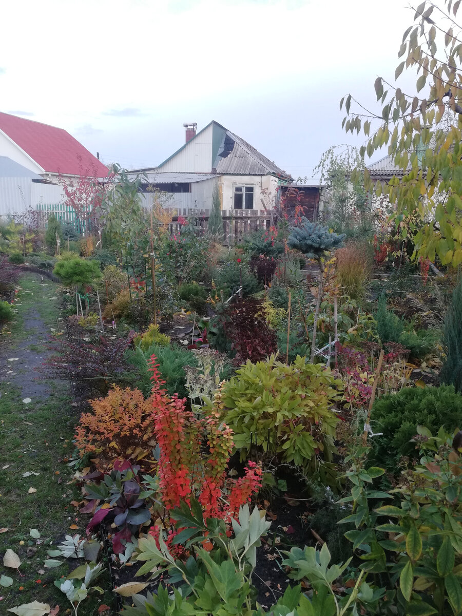 Волшебные соседские виды: крыши, латки, заборы, туалеты...