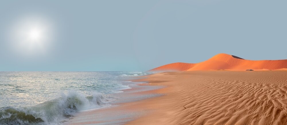   Фото: Shutterstock