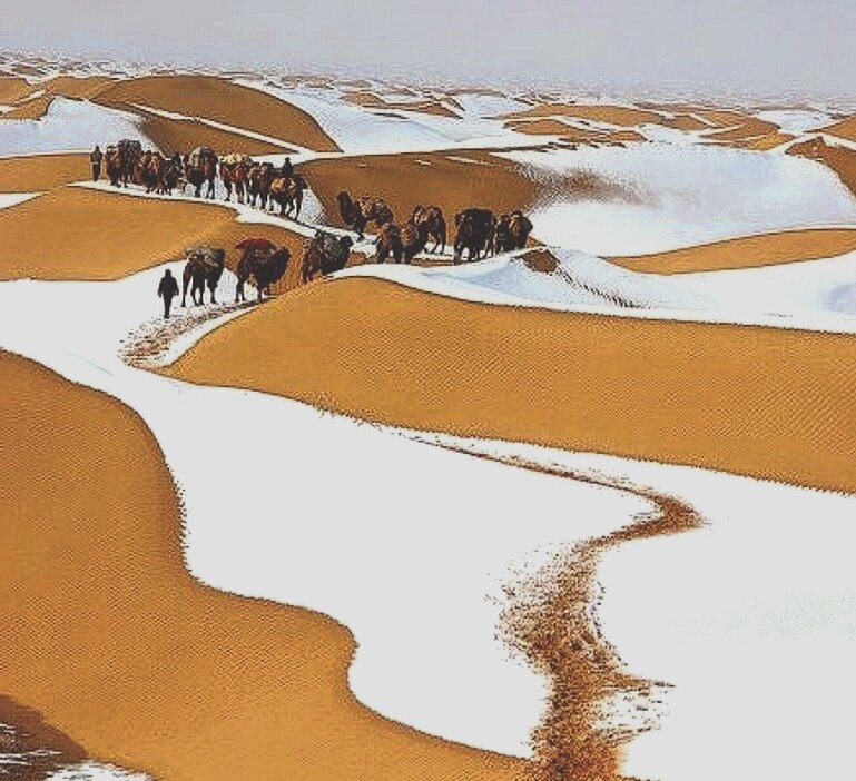 Снег в пустыне, фото из открытого источника.