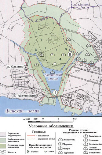 Карта глубин лахтинского разлива